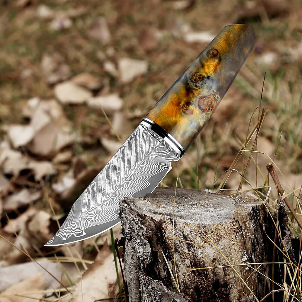 Damascus Fixed Blade Steel Knife | with Sheath