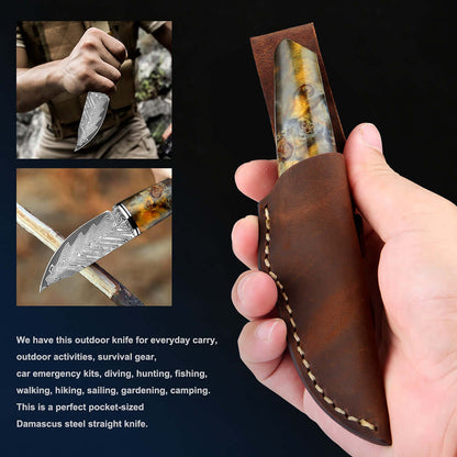 Damascus Fixed Blade Steel Knife | with Sheath